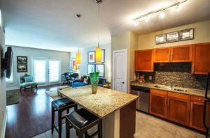 Pitbull Friendly Apartments In Austin Tx Pitbull Friendly Apartments In Austin Tx